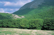Mount  Cucco  Park